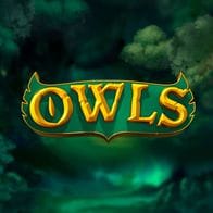 Owls screenshot